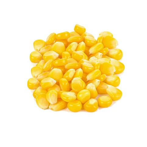 Sweet corn 